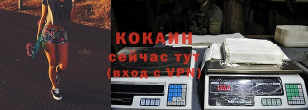 гашик Михайловск
