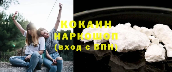 гашик Михайловск