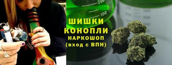 гашик Михайловск