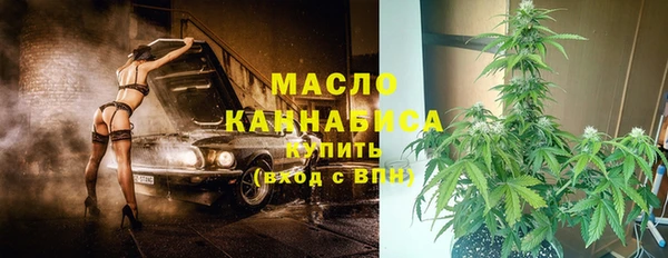 гашик Михайловск
