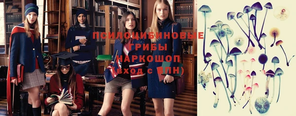 гашик Михайловск