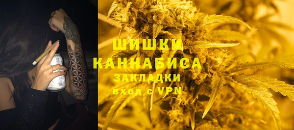 гашик Михайловск