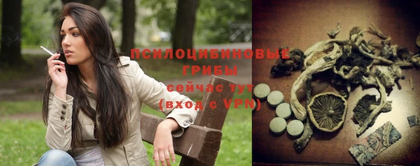 гашик Михайловск