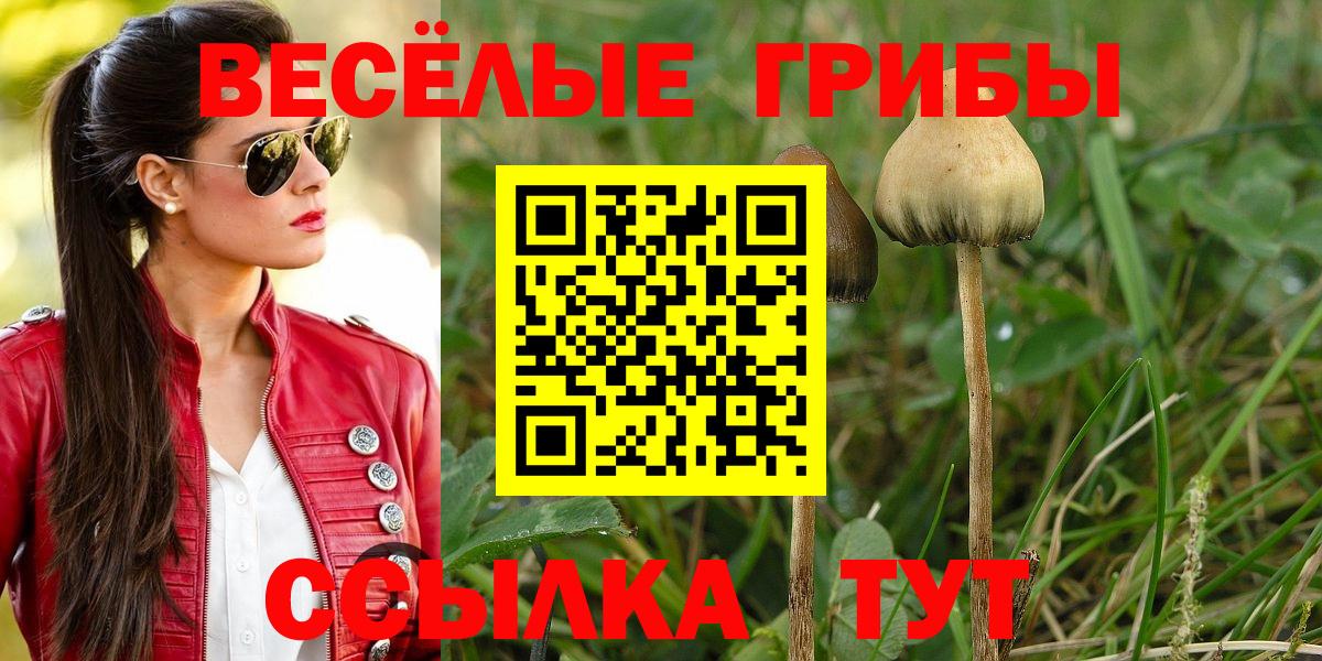 Галлюциногенные грибы GOLDEN TEACHER  Галлюциногенные грибы MAGIC MUSHROOMS  Иваново 