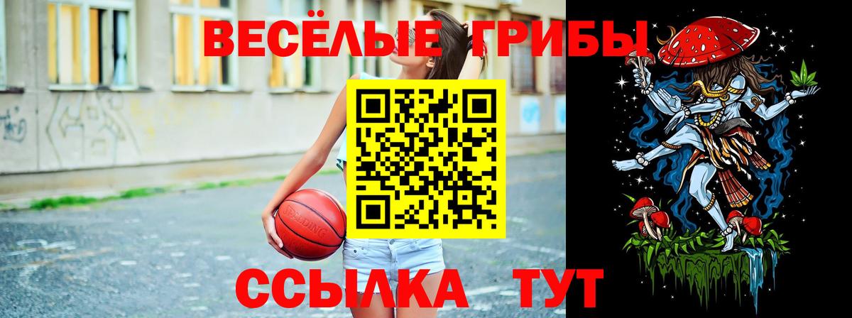 Галлюциногенные грибы Cubensis Иваново