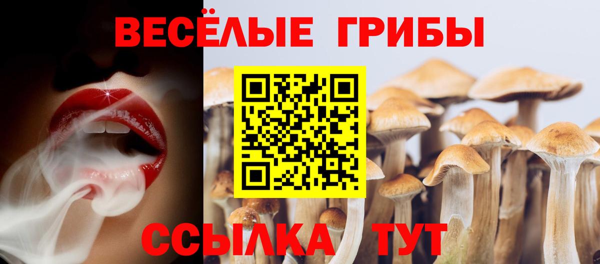 Галлюциногенные грибы мухоморы  Вход с VPN  где купить наркотик  Иваново 